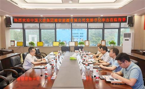 中國大唐集團(tuán)雄安能源有限公司黨委書記、董事長李杰一行到成都中建材調(diào)研