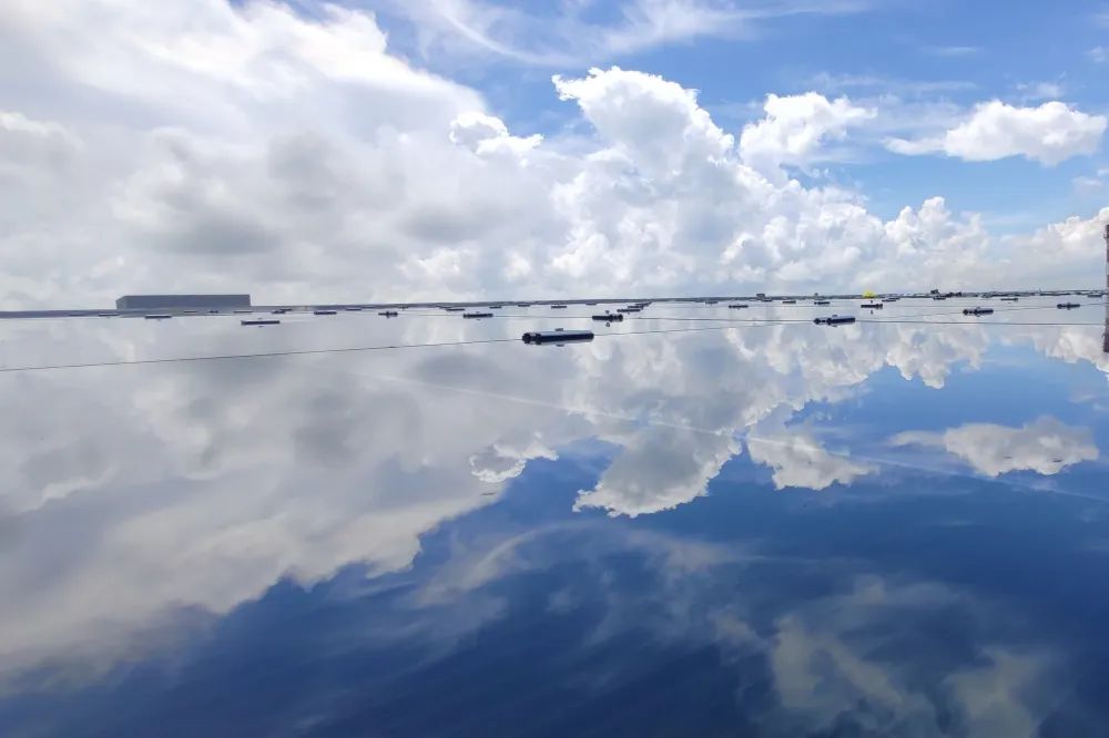 微信圖片_20220919104013 微信圖片_20220919104013