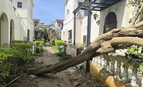 扛過(guò)“摩羯”！從成都中建材大尺寸碲化鎘發(fā)電玻璃項(xiàng)目淺談BIPV應(yīng)用優(yōu)勢(shì)